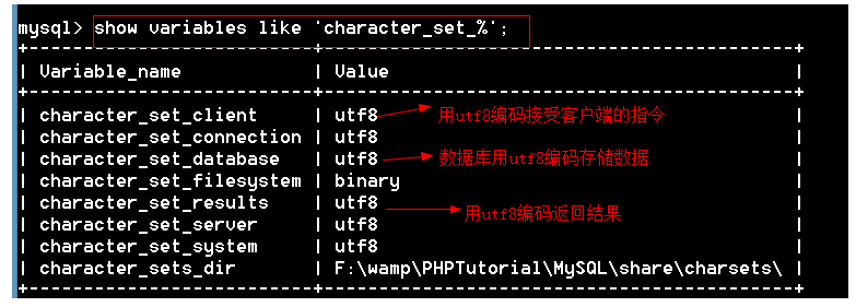 mysql服务器编码情况